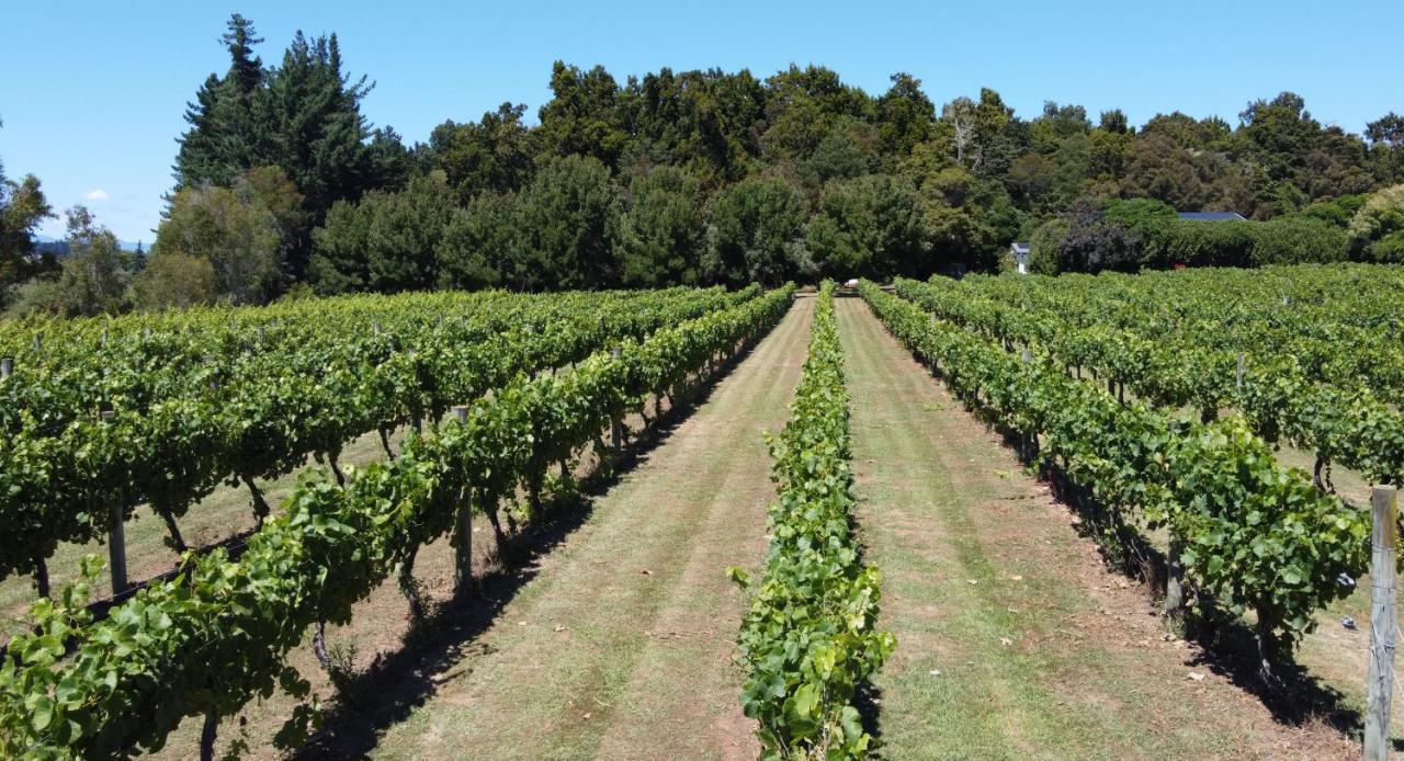 Pirita Vineyard Cottage. Upper Moutere Εξωτερικό φωτογραφία